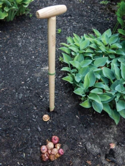 Wicked Big Dibber -Garden Supply Store 8612667 0028