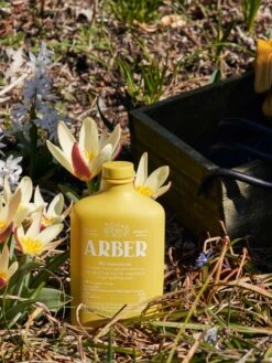 Organic Bio Insecticide Indoor/Outdoor 10 Organic Bio Insecticide Indoor/Outdoor -Garden Supply Store 8612698 03v