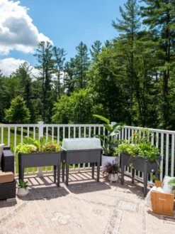 Self-Watering Standing Salad Planter With Cloche 13 Self-Watering Standing Salad Planter With Cloche -Garden Supply Store 8612702 2002 tif