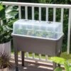 Self-Watering Standing Salad Planter With Cloche -Garden Supply Store 8612702 2032 tif