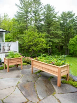 Garden Supply Store 9 Craftsbury Elevated Raised Beds