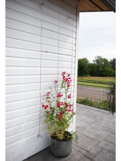 Chicken Wire Wall Trellis 16 Chicken Wire Wall Trellis -Garden Supply Store 8612717 0081