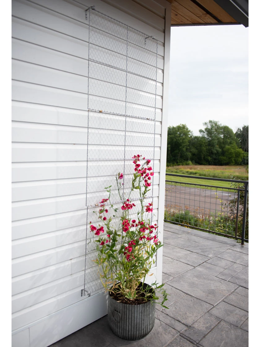 Chicken Wire Wall Trellis 8 Chicken Wire Wall Trellis - Image 6