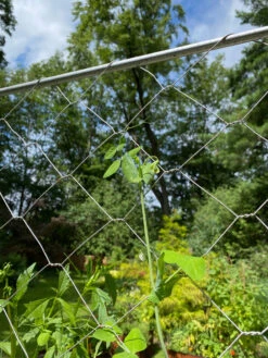 Chicken Wire Pea Trellis 19 Chicken Wire Pea Trellis -Garden Supply Store 8612718 7311