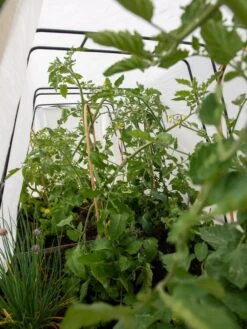 Cotton All Purpose Garden Cover 10 Cotton All Purpose Garden Cover -Garden Supply Store 8612815 0039 tif