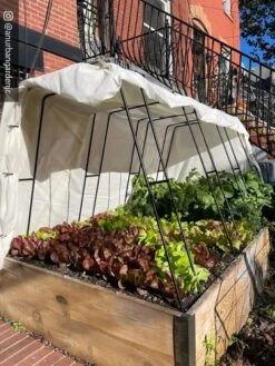 Cotton All Purpose Garden Cover 11 Cotton All Purpose Garden Cover -Garden Supply Store 8612816 01CUST