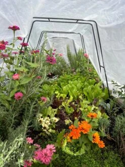 Zenith Garden Hoops, Set Of 4 14 Zenith Garden Hoops, Set Of 4 -Garden Supply Store 8612816 01TEST 1