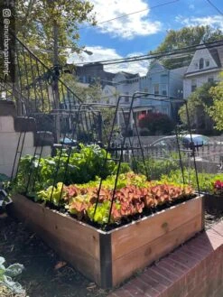 Zenith Garden Hoops, Set Of 4 16 Zenith Garden Hoops, Set Of 4 -Garden Supply Store 8612816 02CUST