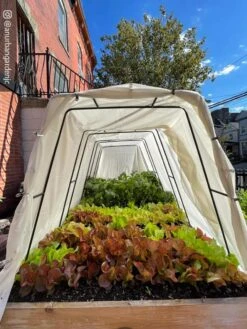 Cotton All Purpose Garden Cover 12 Cotton All Purpose Garden Cover -Garden Supply Store 8612816 03CUST