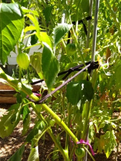 Farmyarn® Multipurpose Garden Tie, 2 Pack 16 Farmyarn® Multipurpose Garden Tie, 2 Pack -Garden Supply Store 8612948 02v