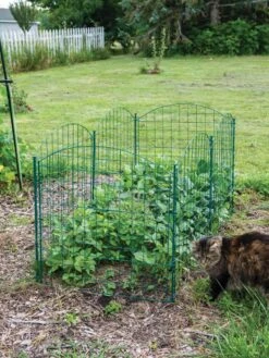 6 Panel Critter Fence With Gate 13 6 Panel Critter Fence With Gate -Garden Supply Store 8612967 2570 tif