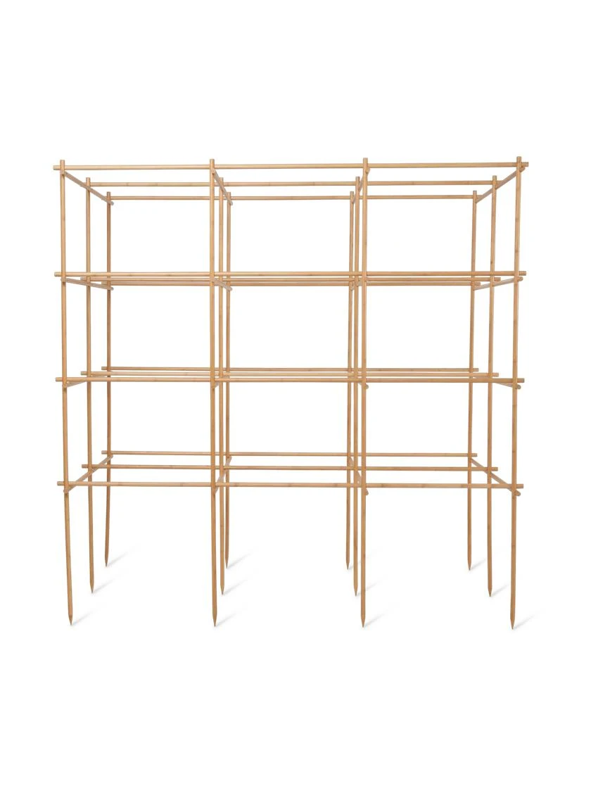 Tomato Six Pack Support 8 Tomato Six Pack Support - Image 6