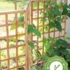 Bamboo Zig-Zag Trellis 24" X 36" 2 Bamboo Zig-Zag Trellis 24" X 36" -Garden Supply Store 8613151 15