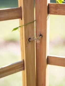 Bamboo Zig-Zag Trellis 24" X 36" -Garden Supply Store 8613151 6483