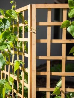 Bamboo Zig-Zag Trellis 24" X 36" -Garden Supply Store 8613151 6491