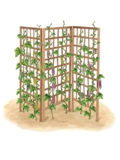 Bamboo Zig-Zag Trellis 24" X 36" -Garden Supply Store 8613151 art flat