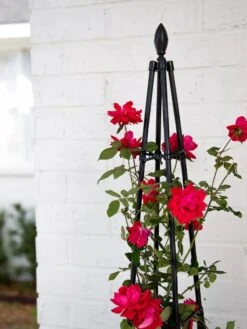 Teardrop Teepee Trellis, 47.25" -Garden Supply Store 8613154 0039