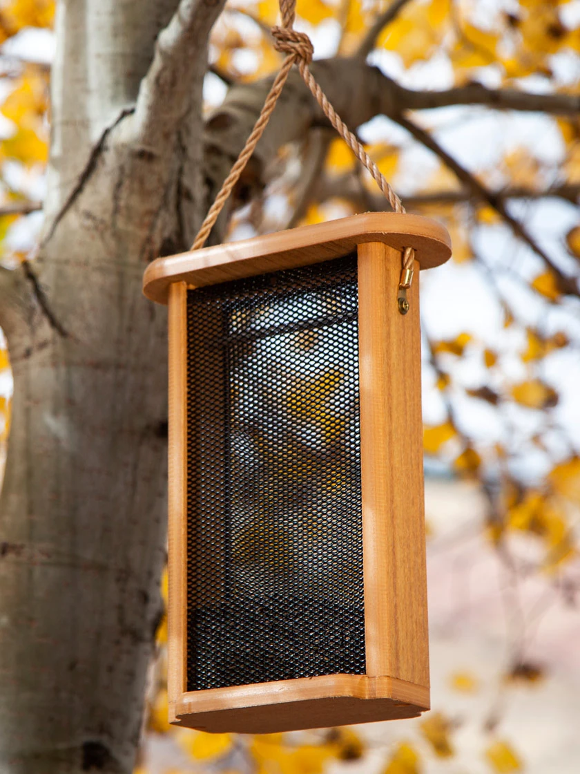 Spruce Creek Tall Finch Feeder 3 Spruce Creek Tall Finch Feeder