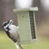 Birds Choice™ Suet Feeder 2 Birds Choice™ Suet Feeder -Garden Supply Store 8613219 04v birds choice suet feeder