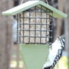 Birds Choice™ Tail Prop Feeder -Garden Supply Store 8613220 08v