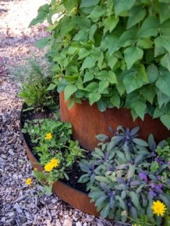 Birdies™ Corten Steel Tiered Round Raised Bed Kit, Tall 8 Birdies™ Corten Steel Tiered Round Raised Bed Kit, Tall -Garden Supply Store 8613245 0195