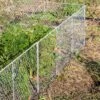Chicken Wire Critter Fence, 16" High -Garden Supply Store 8613249 0368 chicken wire critter fence 16 inches high