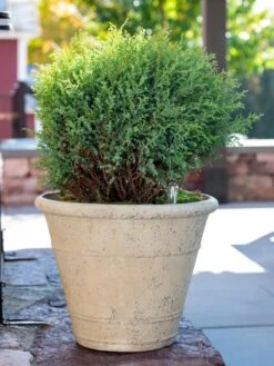 Self-Watering LavaStone® Anson Pot -Garden Supply Store 8613255 0144