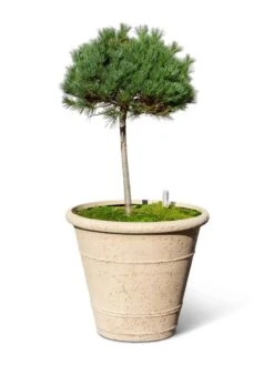 Self-Watering LavaStone® Anson Pot -Garden Supply Store 8613256 0138