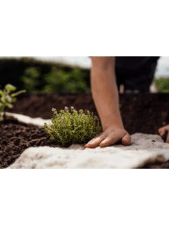 Hortiwool ®, Starter Garden Pad 9 Hortiwool ®, Starter Garden Pad -Garden Supply Store 8613263 09v