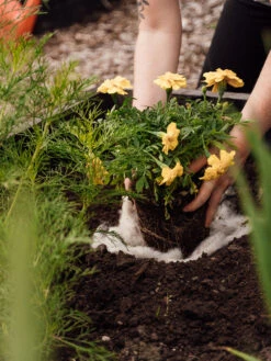 Hortiwool ®, 5 Pad Pack -Garden Supply Store 8613263 12v