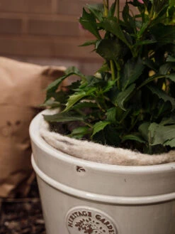 Hortiwool ®, 5 Pad Pack -Garden Supply Store 8613263 17v