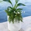 Arden Round Planter 2 Arden Round Planter -Garden Supply Store 8613267 0112 arden round planter