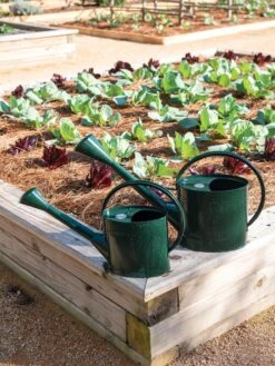 Long Reach Watering Can, Medium -Garden Supply Store 8613346 0148