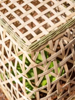 Bamboo Cloche, Set Of 2 18 Bamboo Cloche, Set Of 2 -Garden Supply Store 8613351 0154