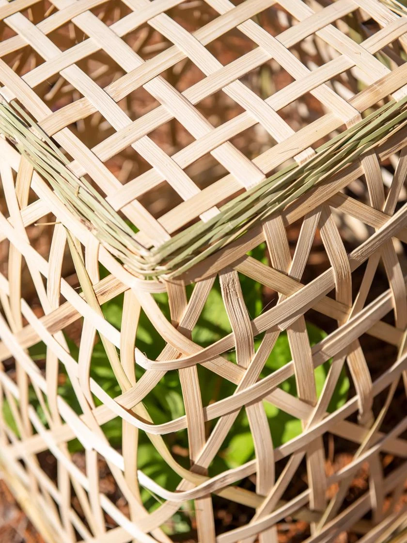 Bamboo Cloche, Set Of 2 9 Bamboo Cloche, Set Of 2 - Image 7