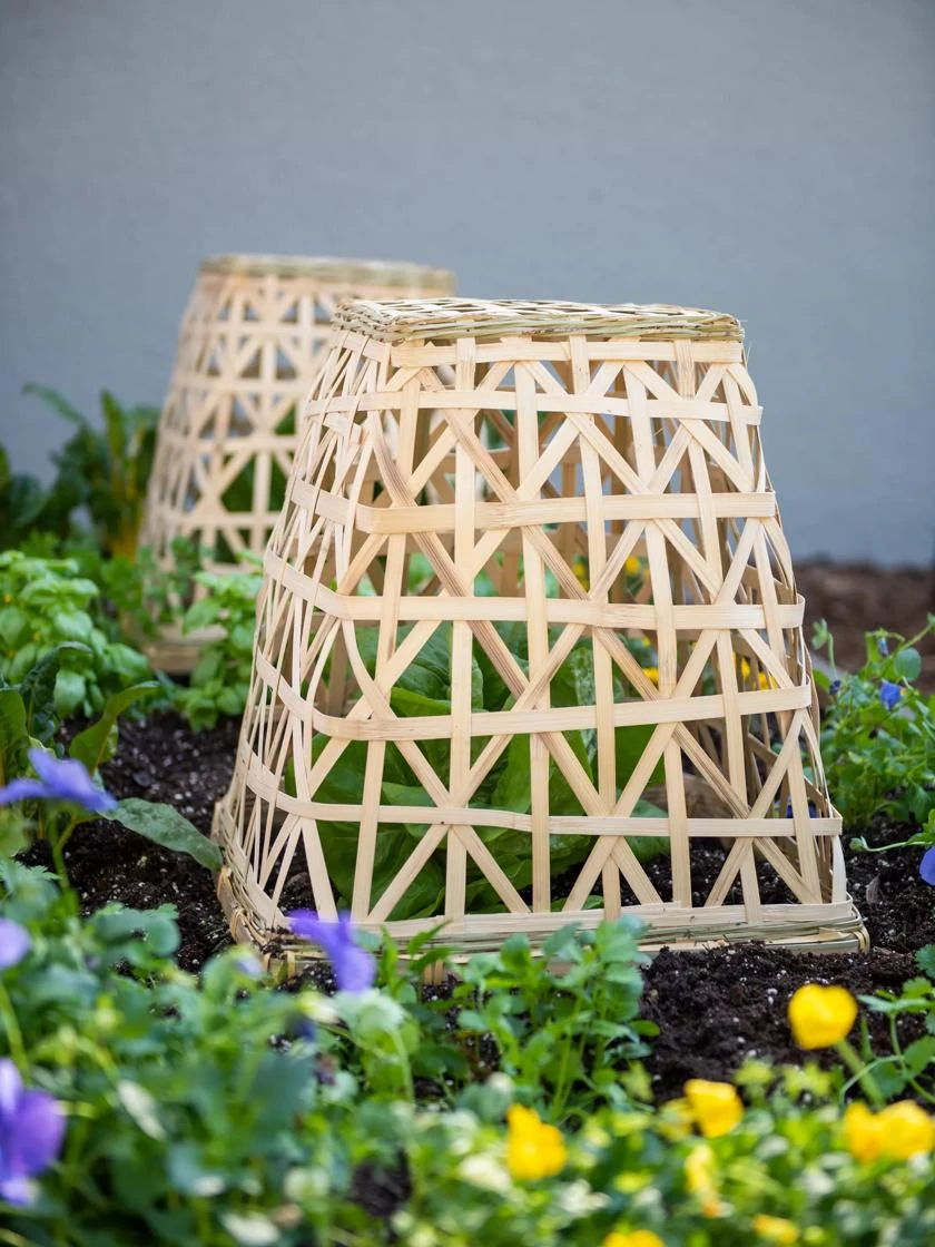 Bamboo Cloche, Set Of 2 4 Bamboo Cloche, Set Of 2 - Image 2