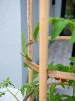Elevated Bamboo Tomato Planter And Trellis 13 Elevated Bamboo Tomato Planter And Trellis -Garden Supply Store 8613502 0423