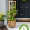 Elevated Bamboo Tomato Planter And Trellis 2 Elevated Bamboo Tomato Planter And Trellis -Garden Supply Store 8613502 13