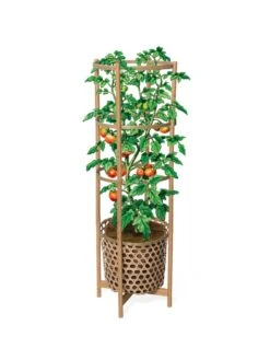 Elevated Bamboo Tomato Planter And Trellis 15 Elevated Bamboo Tomato Planter And Trellis -Garden Supply Store 8613502 art flat