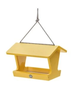 Garden Supply Store 23 Color Pop Hopper Bird Feeder