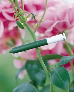 Garlic Clips, Set Of 25 5 Garlic Clips, Set Of 25 -Garden Supply Store GS31226 01