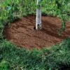Coco Coir Tree Rings, Set Of 2 2 Coco Coir Tree Rings, Set Of 2 -Garden Supply Store GS33501 04 001E tif