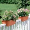 2' X 4' Railing Planter, 25" -Garden Supply Store GS34336 01 24 inch 2x6 railing planters