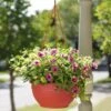 Self-Watering Hanging Basket 1 Self-Watering Hanging Basket -Garden Supply Store GS34368 10 tif