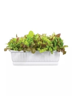 31" Self-Watering Window Box 7 31" Self-Watering Window Box -Garden Supply Store GS36523 01Z 3 4