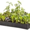 Grow Bed Extension Kit 2 Grow Bed Extension Kit -Garden Supply Store GS37503 01 tif