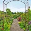 Jardin Rose Arch -Garden Supply Store GS38690 02 rose trellis tif