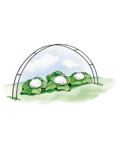 Super Hoops, Set Of 6 10 Super Hoops, Set Of 6 -Garden Supply Store GS39423 02S 3 4