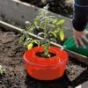 Tomato Halos, Set Of 3 1 Tomato Halos, Set Of 3 -Garden Supply Store GS40357 01 tif