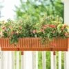 39" Self-Watering Window Box 2 39" Self-Watering Window Box -Garden Supply Store gs34503 01